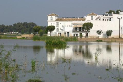 comenius_13.jpg