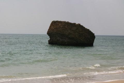 comenius_42.jpg