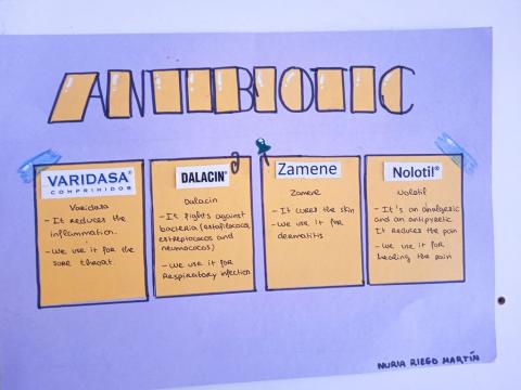 dmubiologia13.jpg