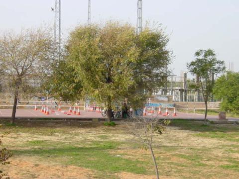 dsc00003.jpg