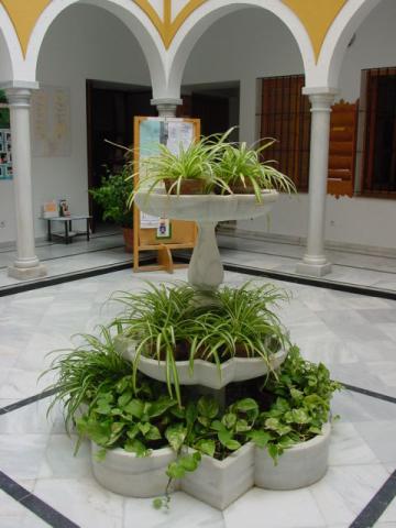 dsc00006.jpg