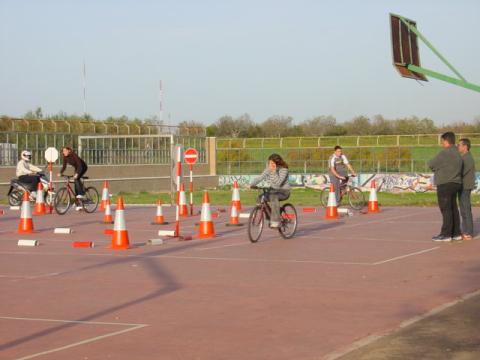 dsc00013.jpg