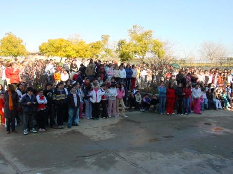 dsc00031.jpg