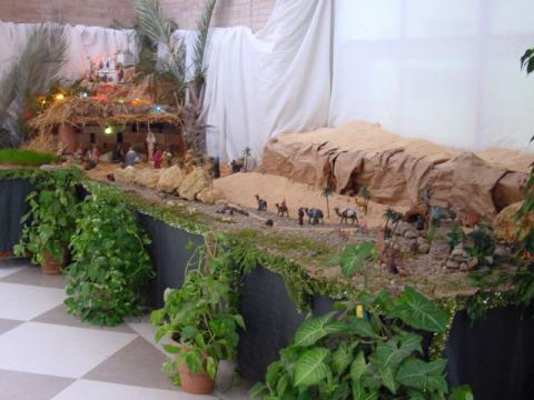 dsc00033.jpg