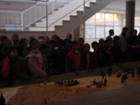 dsc00042.jpg
