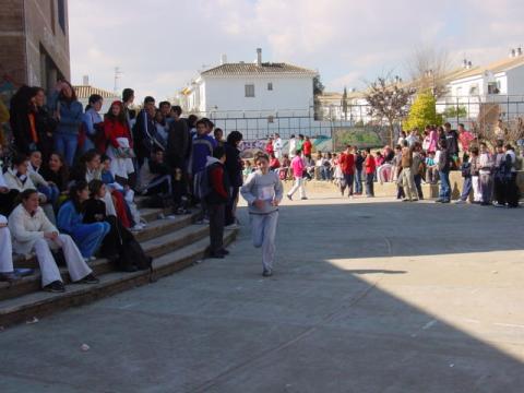 dsc00043.jpg