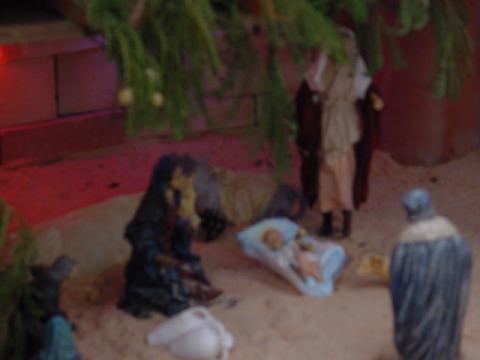 dsc00073.jpg