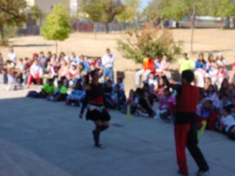 dsc00090.jpg