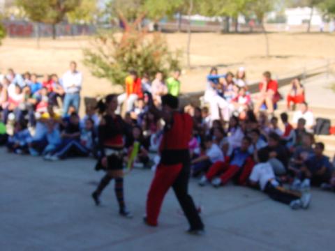 dsc00091.jpg