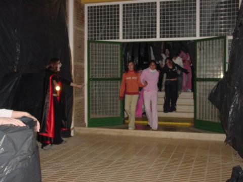 dsc00201.jpg