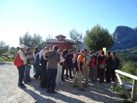 dsc01613.jpg