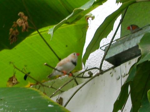 dscn0175.jpg