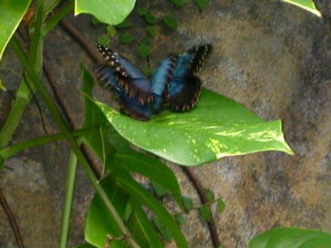 dscn0177.jpg