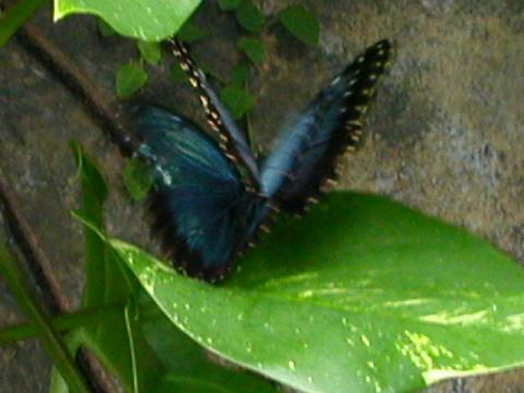 dscn0178.jpg