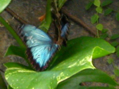 dscn0180.jpg