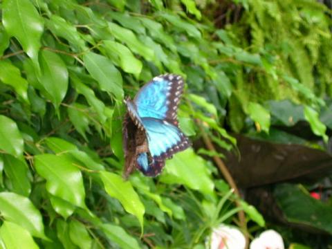 dscn0181.jpg