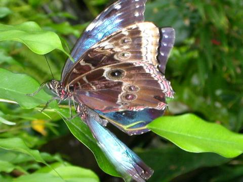 dscn0182.jpg