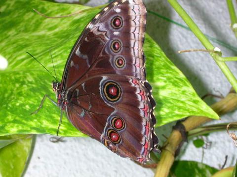 dscn0183.jpg
