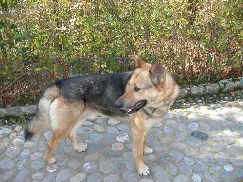 dscn0250.jpg