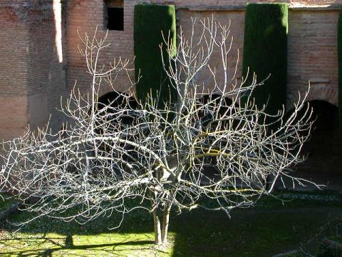 dscn0270.jpg