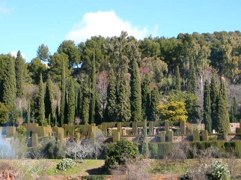 dscn0273.jpg
