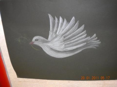 dscn0826.jpg
