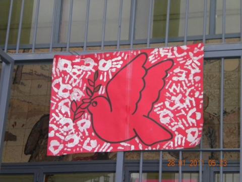 dscn0853.jpg