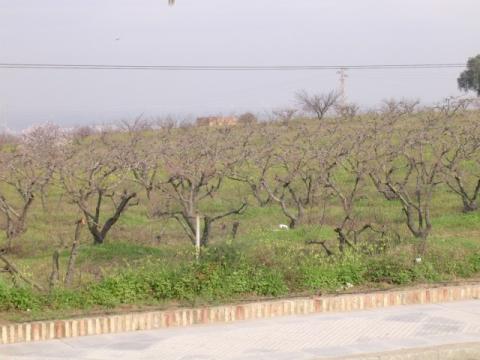 dscn1876.jpg