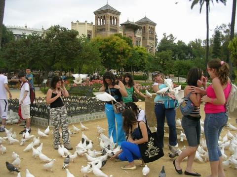 dscn5293.jpg