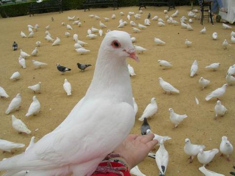 dscn5303.jpg