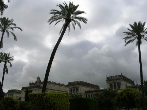 dscn5309.jpg