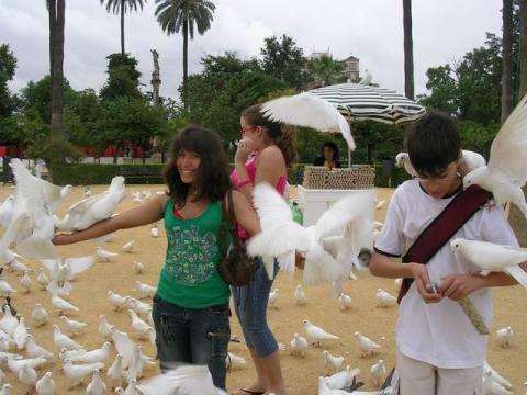 dscn5310.jpg