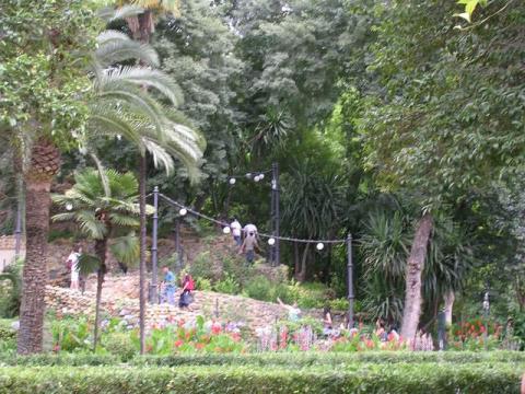 dscn5318.jpg