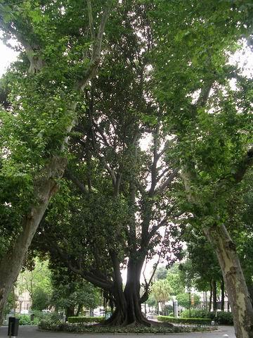 dscn5324.jpg