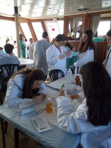 excursionrio16.jpg