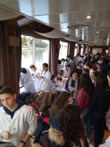 excursionrio22.jpg