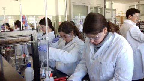 facultadquimica01.jpg