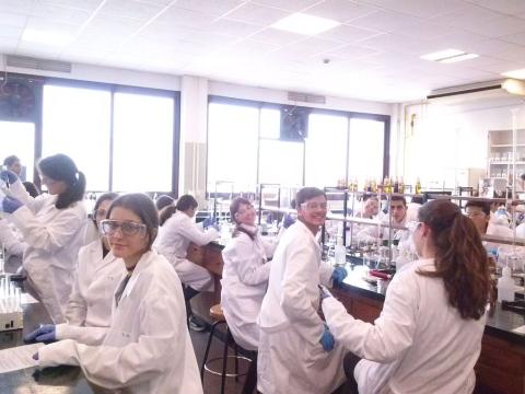 facultadquimica02.jpg