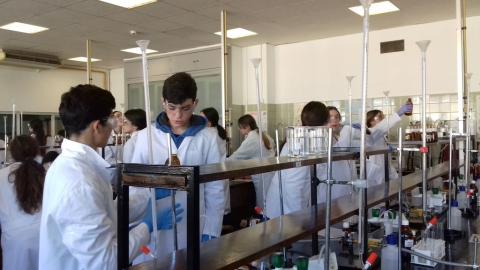 facultadquimica02.jpg