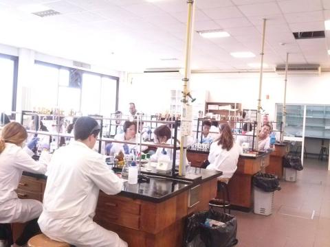 facultadquimica03.jpg