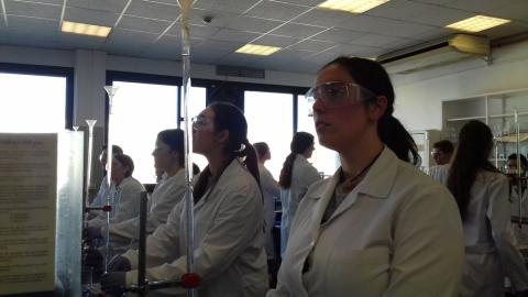facultadquimica04.jpg
