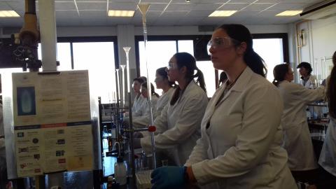 facultadquimica05.jpg