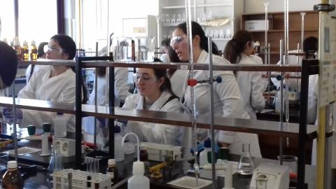 facultadquimica06.jpg