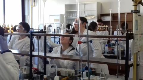 facultadquimica07.jpg