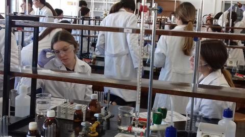 facultadquimica08.jpg
