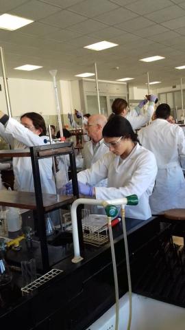 facultadquimica11.jpg