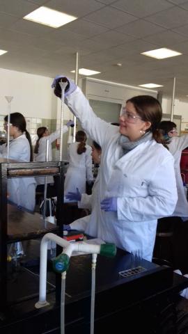 facultadquimica13.jpg