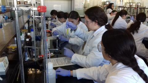 facultadquimica17.jpg