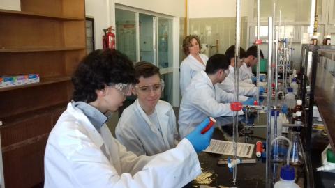 facultadquimica19.jpg