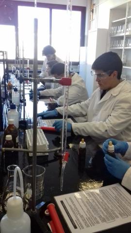 facultadquimica20.jpg